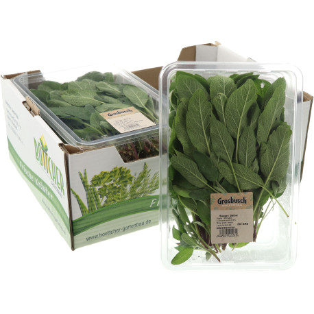 SAUGE GROSBUSCH 4X200G